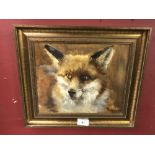 Clodagh Gravos. Oil on board, study of a fox. Signed and dated '85 lower right. Framed. 11ins. x