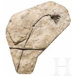 Fossilisierte Seelilie, ca. 80 Millionen Jahre altVersteinerung einer Seelilie (Crinoidea) aus der