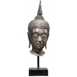 Kopf eines großen Gautama-Buddhas, Thailand, um 1600Bronze mit schöner Alterspatina. Fein