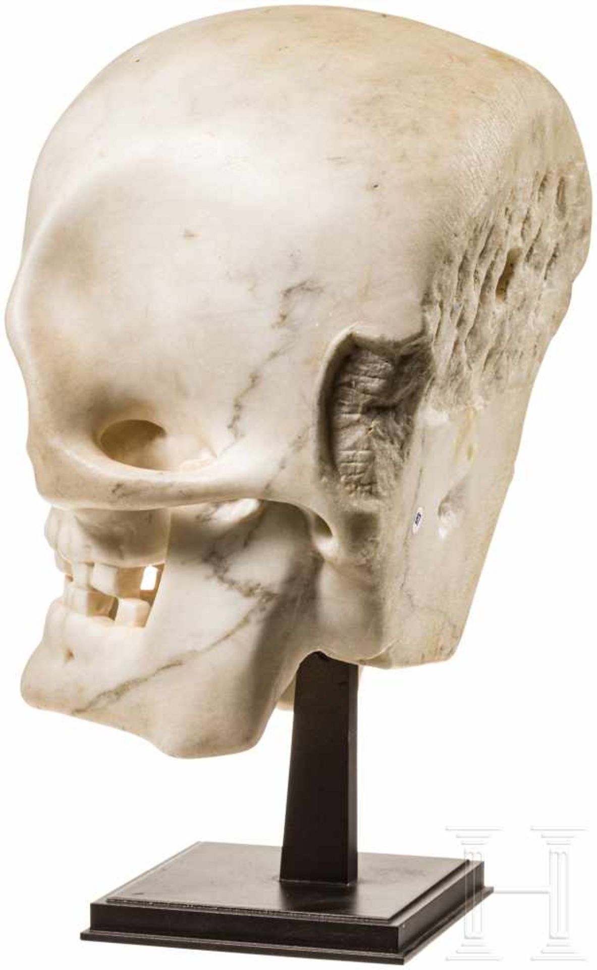 Marmortotenkopf, 18. - 19. Jhdt.Detailgetreuer Totenkopf aus cremefarbenem Marmor, die Rückseite - Bild 3 aus 4