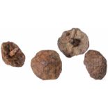 Vier Schuhnägel von Marschstiefeln römischer Legionäre, römisch, 1. Jhdt. v. Chr.Vier eiserne