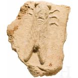 Keramikfragment mit Zikade, späthellenistisch oder römisch, ca. 1. Jhdt. v. Chr. - 3. Jhdt. n. Chr.