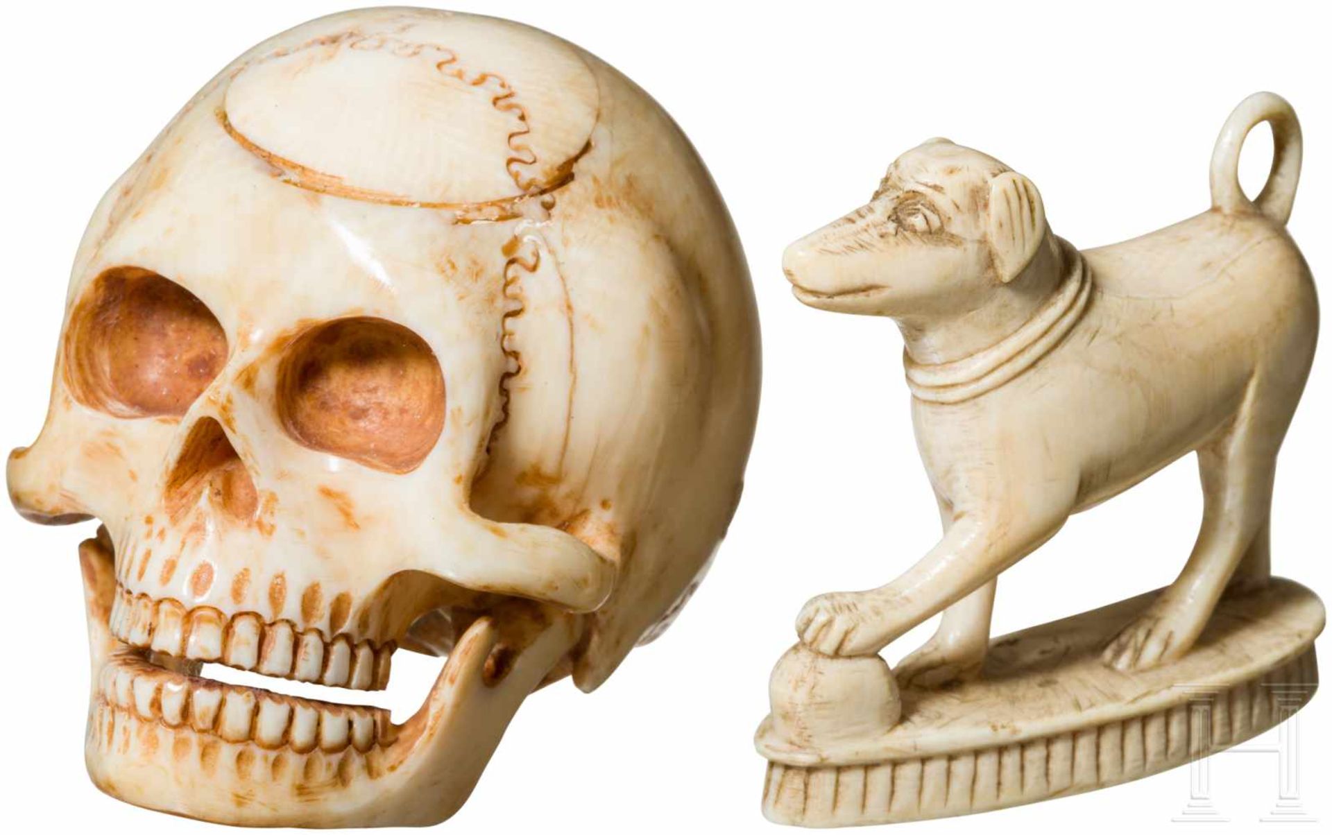 Memento-Mori-Schädel, 19. Jhdt.Detailliert aus Elfenbein naturalistisch geschnitzter, mehrteiliger