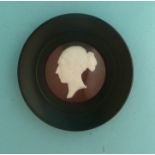 1837/1838 Victoria: a white composition head in profile relief contained in a glazed ebonised frame,
