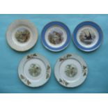 Five bird subject plates (5) (pot lid, potlid, prattware)