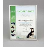 "Hope 2007", Auslandstierschutzpreis vom Bund gegen Missbrauch der Tiere e.V. von 2007.Trophäe aus