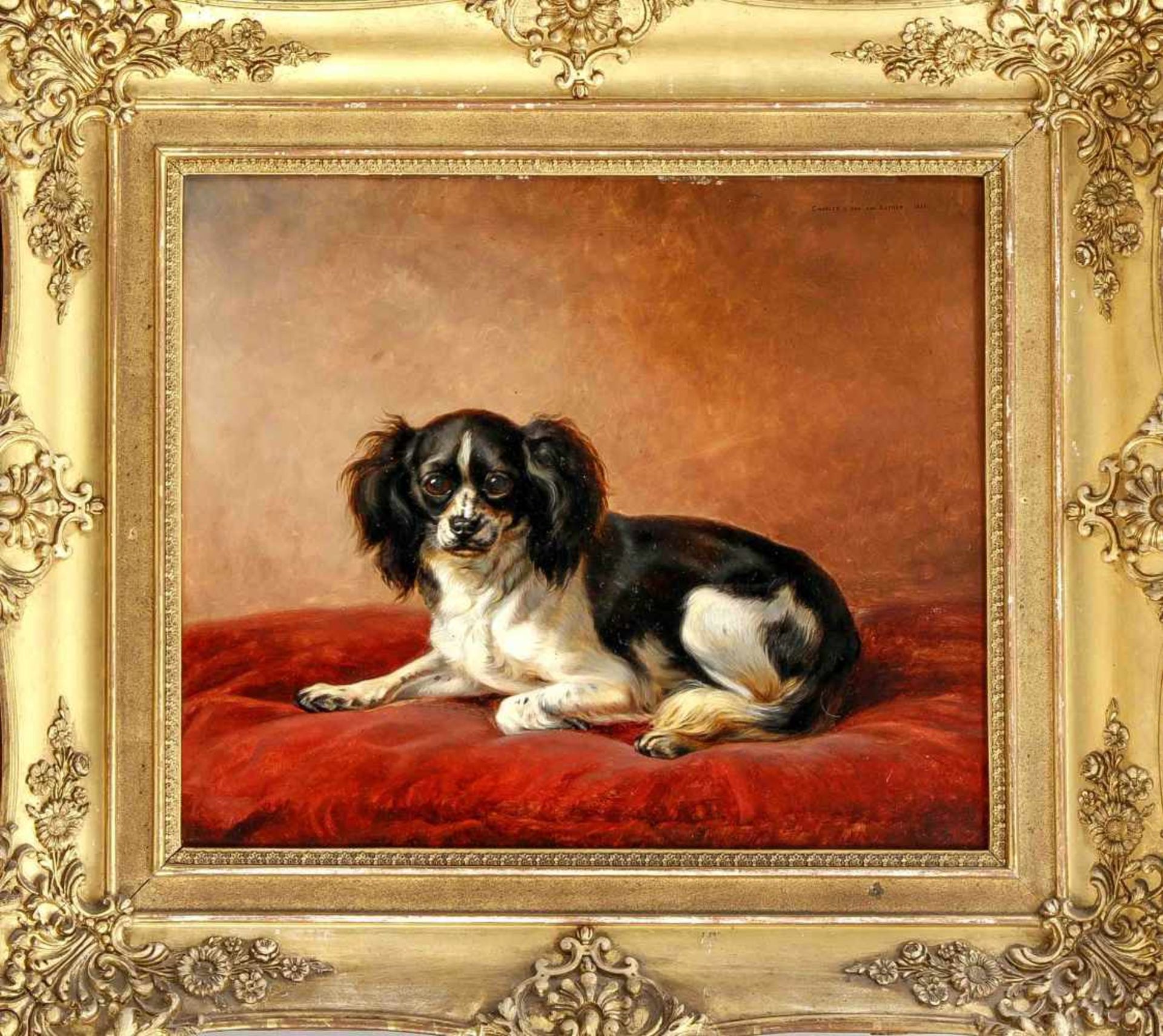 Tiermaler um 1840, Bildnis eines Hundes auf rotem Kissen, einfühlsames Portrait mit