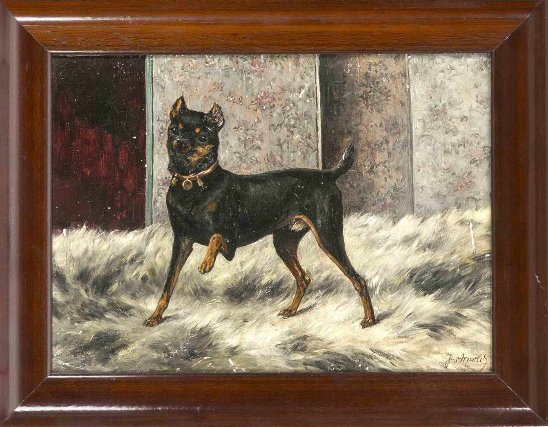 J. Arnold, Tiermaler des 19. Jh., Bildnis eines Pinschers auf einem Fell stehend, Öl aufLwd., u. re.