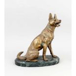 Anonymer Bildhauer 2. H. 20. Jh., sitzender Schäferhund, Bronze auf grünlicherMarmorplinthe,