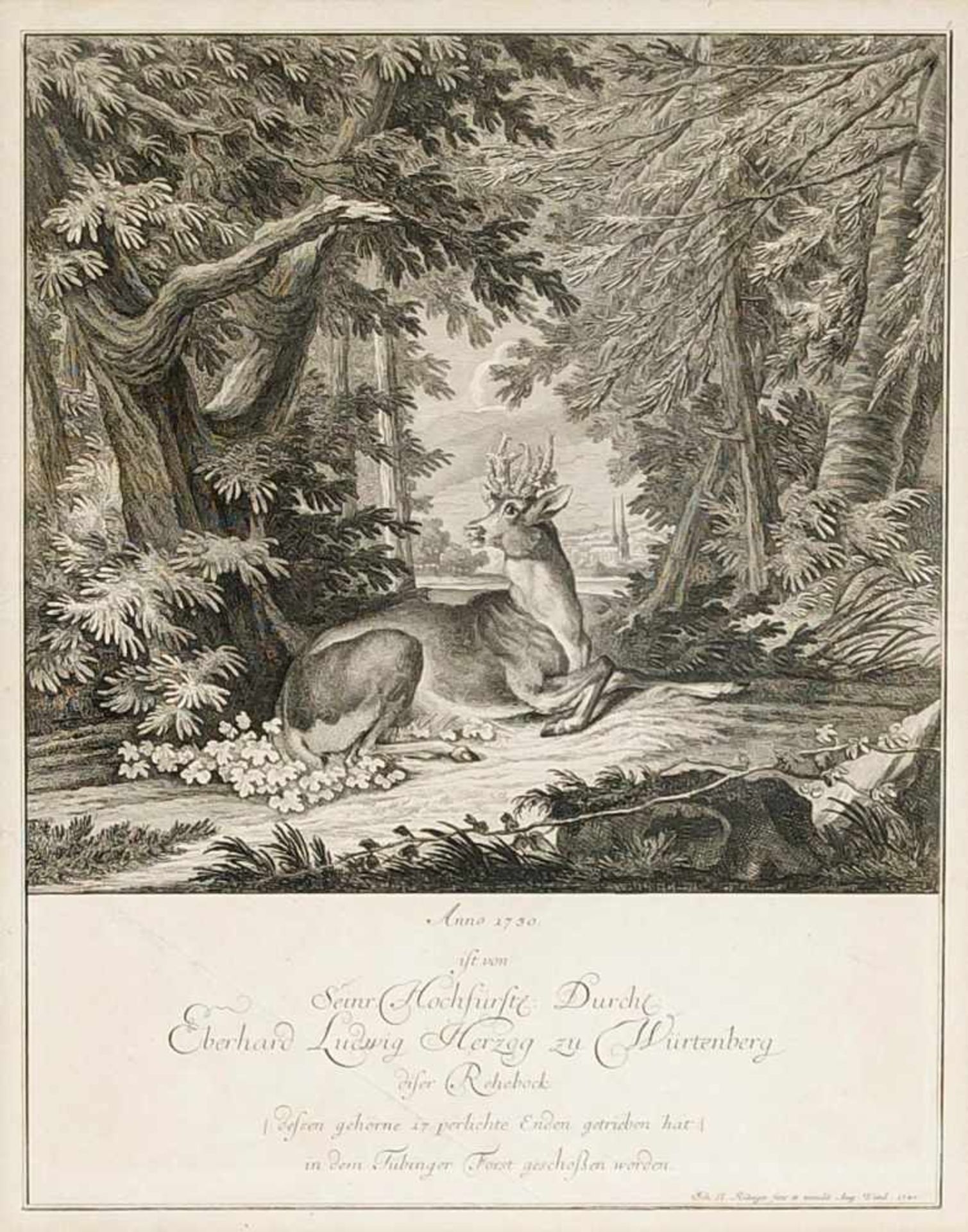 Johann Elias Ridinger (1698-1767) und Martin Elias Ridinger (1730-1781), vier - Bild 2 aus 4