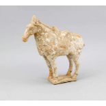 Stehendes Pferd mit Sattel, China, Tang-Dynastie (618-907). Rötliche, unglasierteIrdenware mit