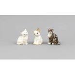 Drei kleine Katzen, England, 20. Jh., Keramik, 1 Tigerkatze und 2 weiße Katzen, H. 8-9 cmThree