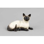 Liegende Siam-Katze, Royal Doulton, England, 20. Jh., farbig staffiert in