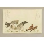 Utamaro Kitagawa (c.1753-1806), nach, Konvolut von 12 japanischen Farbholzschnitten aus"Yehon Momo-