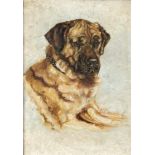 Anonymer Tiermaler 1. H. 20. Jh., Portrait eines Hundes, Öl auf Lwd., unsign., 42 x 30 cm,ger. 56