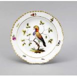 Teller, Meissen, Knaufzeit 1850-1924, 2. W., geschweifte Fahne, polychrome Malerei mitVogel,