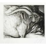 Günter Grass (1927-2015), "Wasserbüffel", Radierung 1988, u. re. handsign. u. dat., u. li.num. 25/