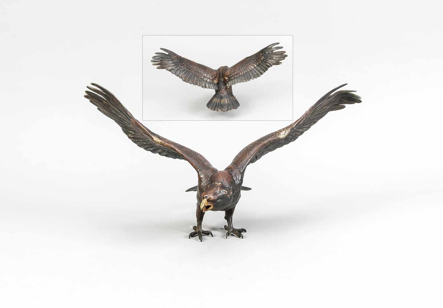 Tierplastik im Stil der Wiener Bronzen, 20. Jh., Adler mit gebreiteten Schwingen,polychrom bemalte