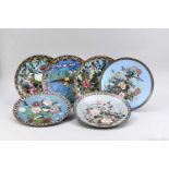 6 Cloisonné-Wandteller, Japan, Ende 19. Jh. (Meiji). Alle mit Vogel- und Blumendekor vorblauem