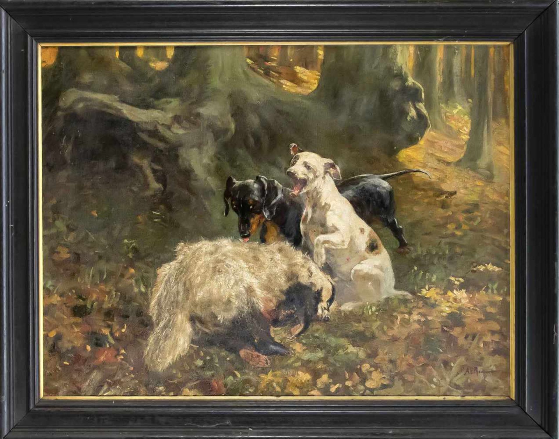 Jagdmaler um 1900, zwei Jagdhunde stellen in einem herbstlichen Waldstück einen Dachs, Ölauf Lwd.,