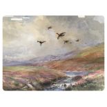 "BIRDS IN FLIGHT OVER MOORLAND AND STREA