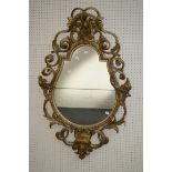 A 19th century gesso pier glass, the openwork scrolled frame with flowerhead and shell detail,