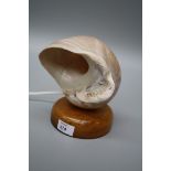 An abalone shell, mounted as a lamp on a circular wood plinth, 19cm