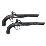 JOSEPH MANTON, LONDON A FINE CASED PAIR OF .600 FLINTLOCK DOUBLE-BARRELLED PISTOLS, serial no's.