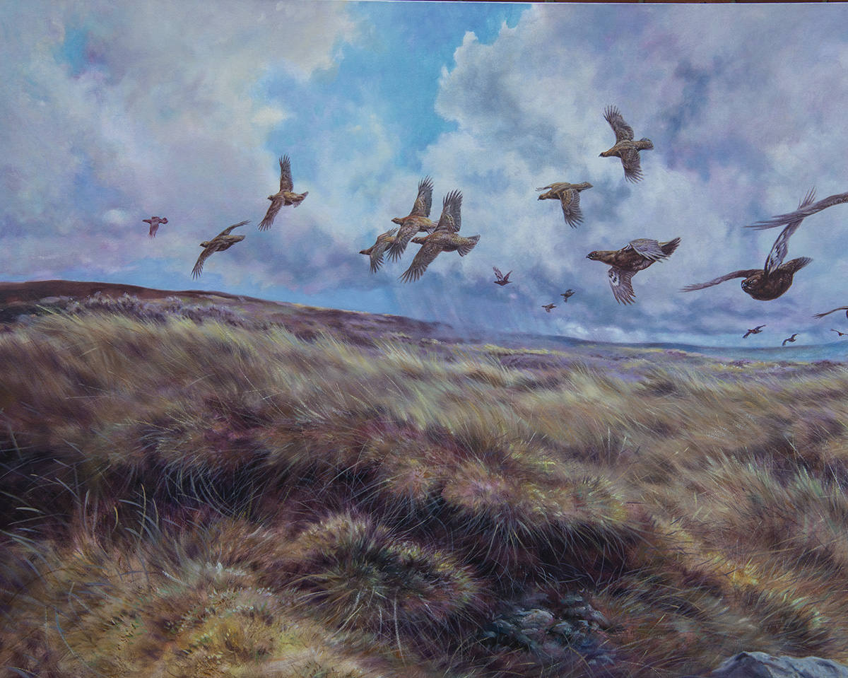DAVID CEMMICK A LARGE ORIGINAL OIL ON CANVAS OF A COVEY OF LOW FLYING GROUSE OVER HEATHER, signed by - Image 5 of 6