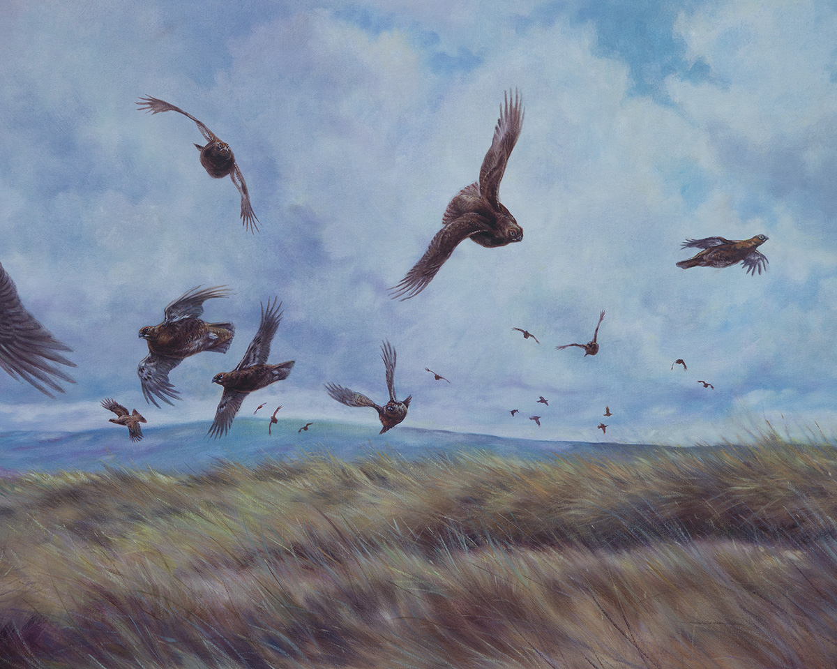 DAVID CEMMICK A LARGE ORIGINAL OIL ON CANVAS OF A COVEY OF LOW FLYING GROUSE OVER HEATHER, signed by - Image 4 of 6