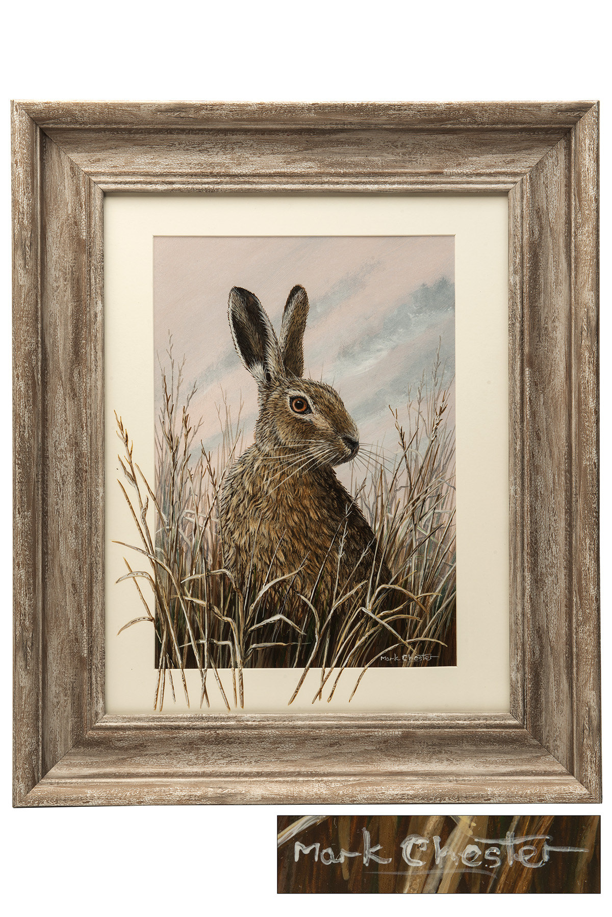 MARK CHESTER (F.W.A.S.) 'ALERT HARE' an original painting signed by the artist, showing an alert