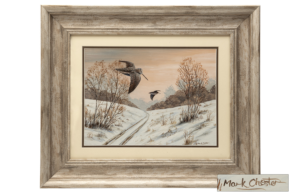 MARK CHESTER (F.W.A.S.) 'WINTER FLIGHT' WOODCOCK, an original painting signed by the artist, showing