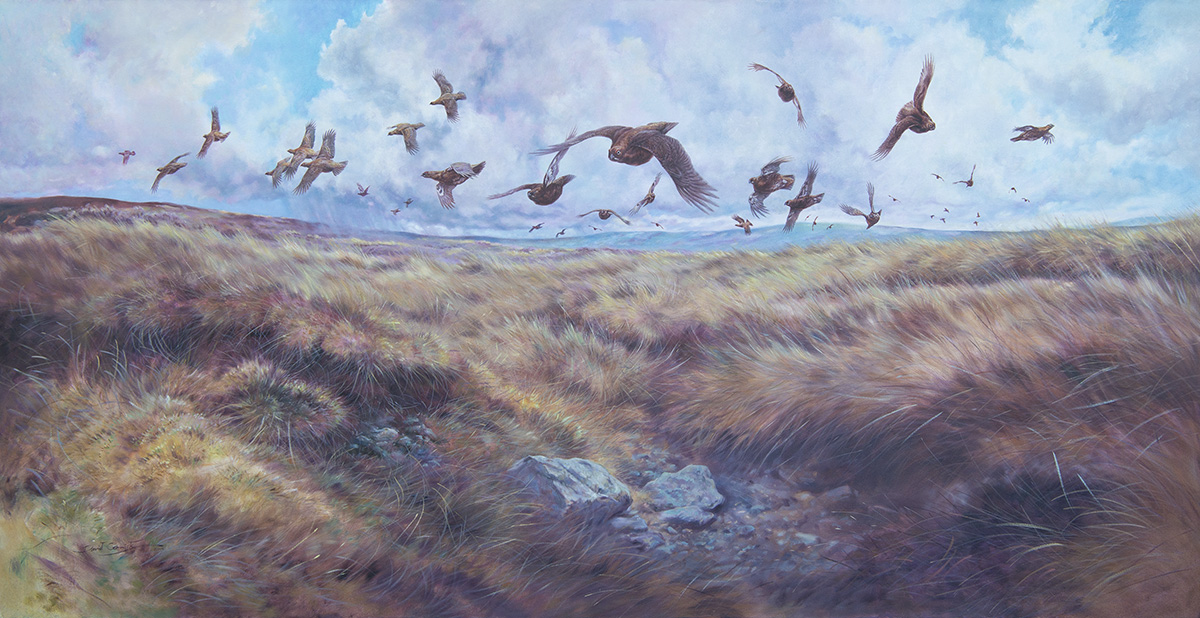 DAVID CEMMICK A LARGE ORIGINAL OIL ON CANVAS OF A COVEY OF LOW FLYING GROUSE OVER HEATHER, signed by