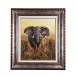 PIERRE COUZY AN ORIGINAL OIL ON CANVAS OF A CHARGING BULL ELEPHANT, signed by the artist, set in a