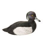 MIKE WOOD A FINE HAND-CARVED TUFTED DUCK, measuring approx. 10in. from beak to tail.