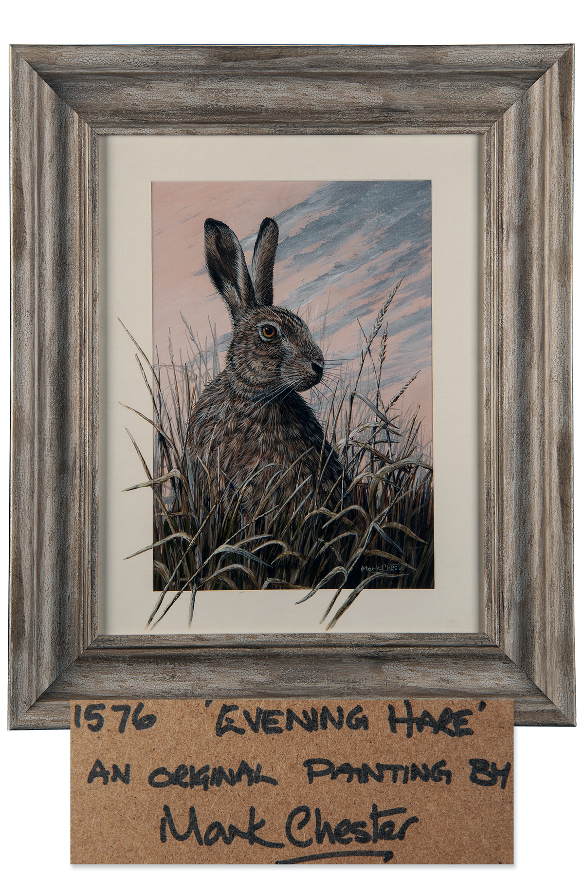 MARK CHESTER (F.W.A.S.) 'EVENING HARE' an original painting signed by the artist, showing an alert