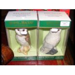 A boxed Royal Doulton Scotch Whisky "Owl" decanter