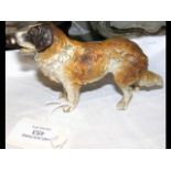 A cold painted figure of St Bernard - 14cm long