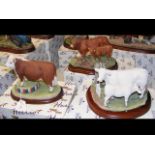 A Border Fine Arts figure 'Charolais Cow and Calf'