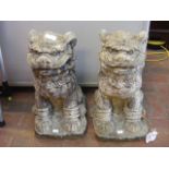 A pair of 50cm high concrete garden Dogs of Fo