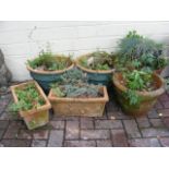 Selection of terracotta and other garden pots