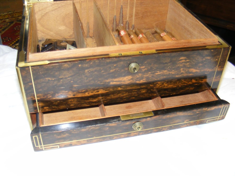 Victorian coromandel humidor with brass inlay and - Image 3 of 11