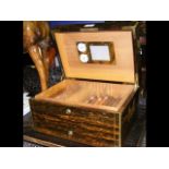 Victorian coromandel humidor with brass inlay and