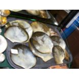 A selection of old carved oyster shells - depictin