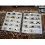 Two cases of preserved and mounted insects
