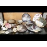 Selection of old carved oyster shells