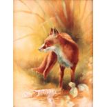 R. A. SHUFFLEBOTHAM. AN EARLY 20th CENTURY PAINTED PORCELAIN PLAQUE depicting a standing fox in a