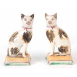 A PAIR OF EARLY 19TH CENTURY STAFFORDSHIRE POTTERY CATS decorated in Prattware colours standing on