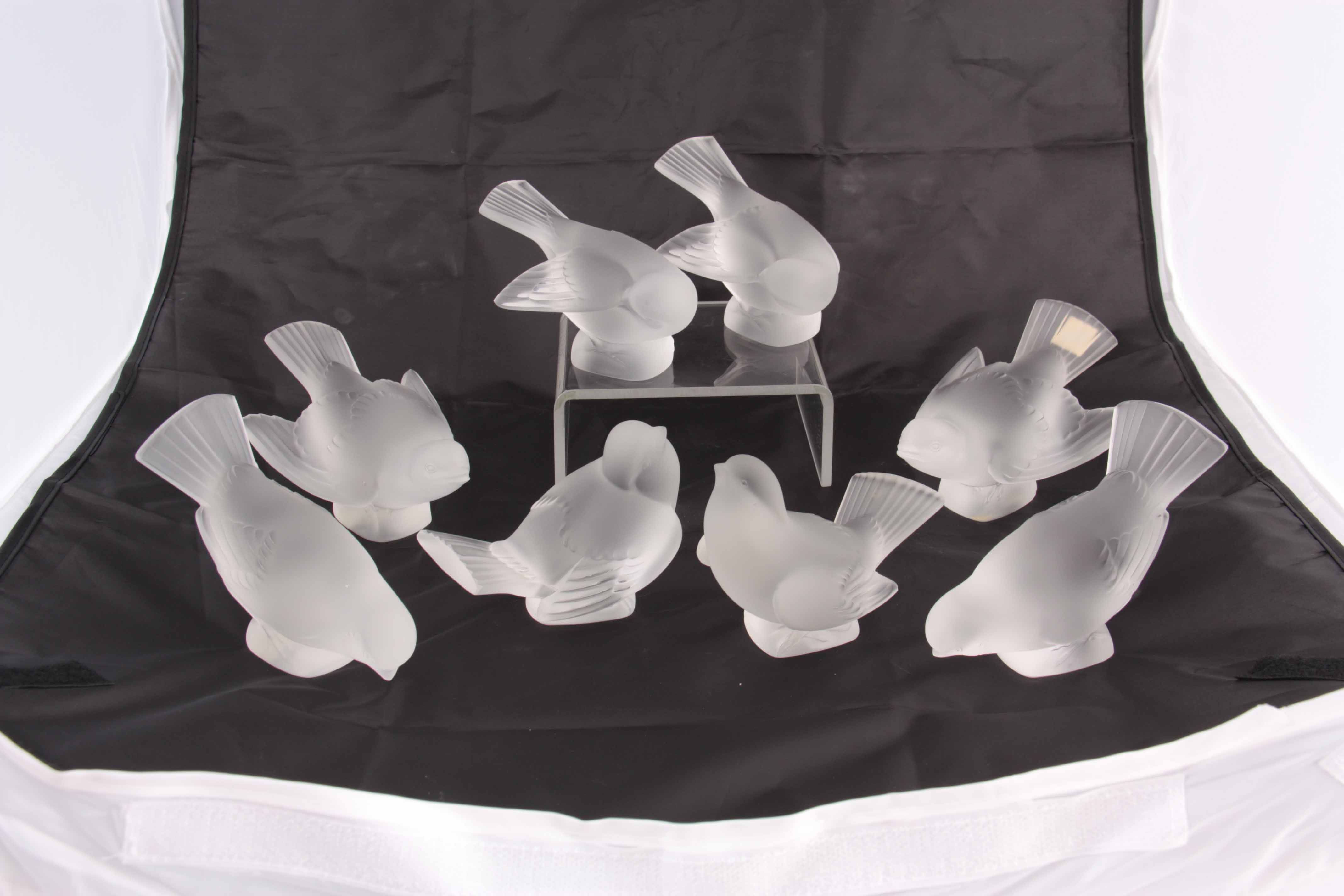 LALIQUE FRANCE, A SET OF 8 FROSTED GLASS SPARROWS - signed Lalique France 8cm high. - Image 2 of 11