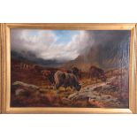 WILLIAM PERRING HOLLYER (1834 -1922) OIL ON CANVAS - HIGHLAND CATTLE IN A HEATHER LANDSCAPE 60cm